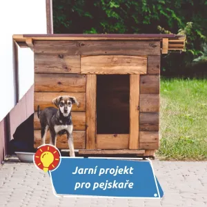 Jak postavit boudu pro psa