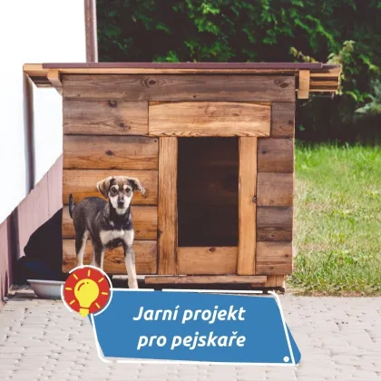 Jak postavit boudu pro psa