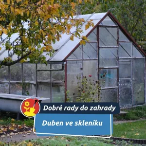 Právě teď se rozhoduje o letošní úrodě