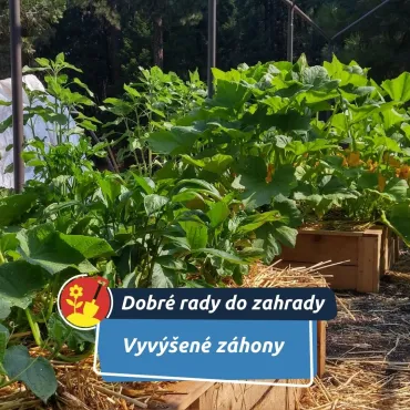 Na jaře vám ušetří práci i přinesou lepší úrodu