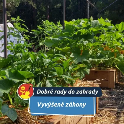 Na jaře vám ušetří práci i přinesou lepší úrodu