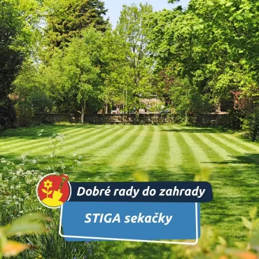 Jak vybrat správnou sekačku: Ušetří čas i práci na zahradě