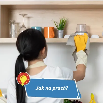 Neviditelný spolubydlící, kterého se nezbavíte, ale můžete ho zkrotit