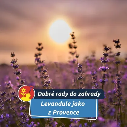 Jak ji na jaře probudit k životu