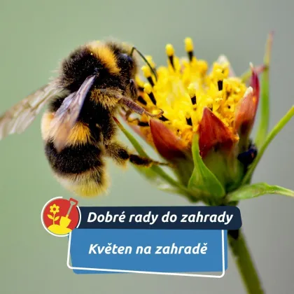Méně zásahů, více života
