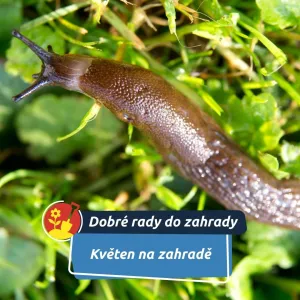 Teď jde o hodně