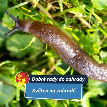 Teď jde o hodně
