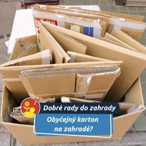 Funguje lépe, než byste čekali