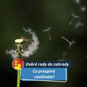 Někdy obyčejný vítr a trochu pohybu