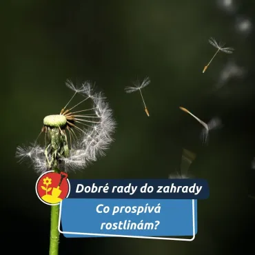 Někdy obyčejný vítr a trochu pohybu