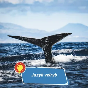 Co si mezi sebou říkají obři oceánů?