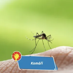 Malí tvorové, kteří dokážou potrápit