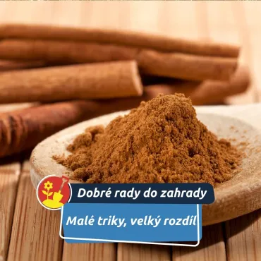 Co právě teď udělat pro lepší zahradu