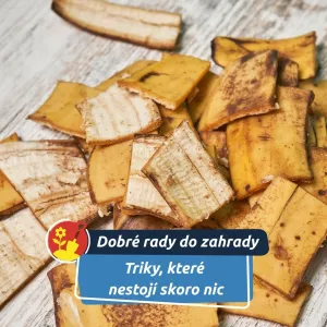 Využijte věci, které by jinak skončily v koši