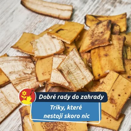 Využijte věci, které by jinak skončily v koši