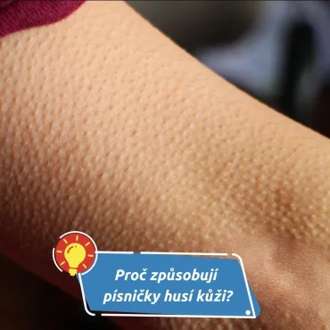 Věda vysvětluje, jak hudba ovládá naše emoce
