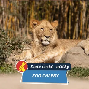Od lvů po přespání mezi zvířaty. Jak funguje Zoo Chleby v praxi