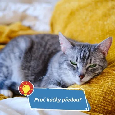 Nevrní jen štěstím, vědci odhalili překvapivé důvody