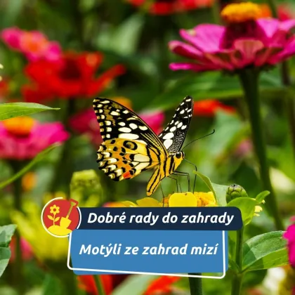 Přitom jim často stačí opravdu málo