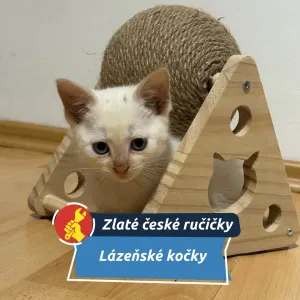 Spolek Lázeňské kočky pomáhají toulavým zvířatům v Mariánských Lázních