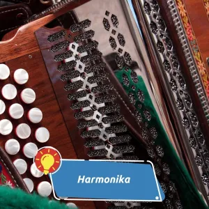 Nástroj, který rozezní hospodu i koncertní sál. Jak vznikla a proč si získala celý svět?