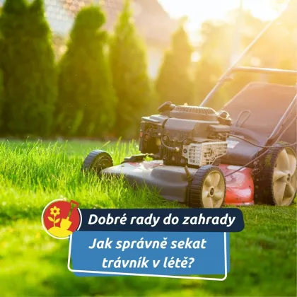 Méně může znamenat více