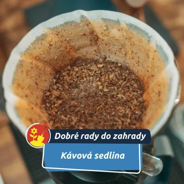 Zázračné hnojivo? Pravda je trochu jiná