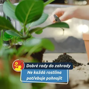 Některým prospívá spíš chudá půda