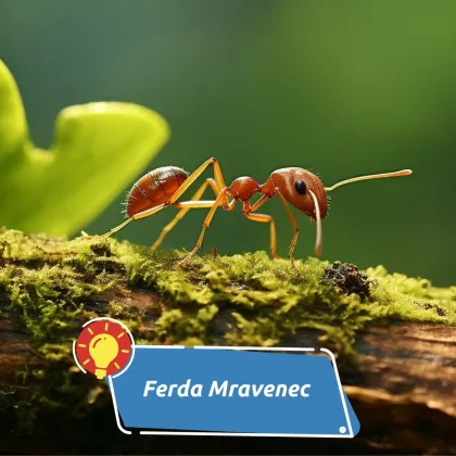 Zrod slavného hrdiny
