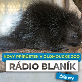 NOVÝ PŘÍRŮSTEK V OLOMOUCKÉ ZOO