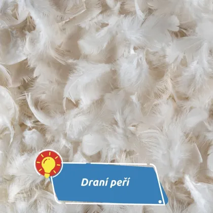 Jaké písně provázely jednu z nejdůležitějších tradic?