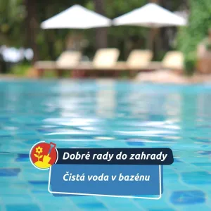 Jak udržet bazénovou vodu průzračnou i během letních veder