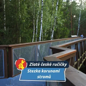 Medvědi se po 300 letech symbolicky vrátili do Krkonoš