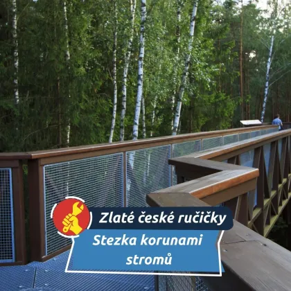 Medvědi se po 300 letech symbolicky vrátili do Krkonoš