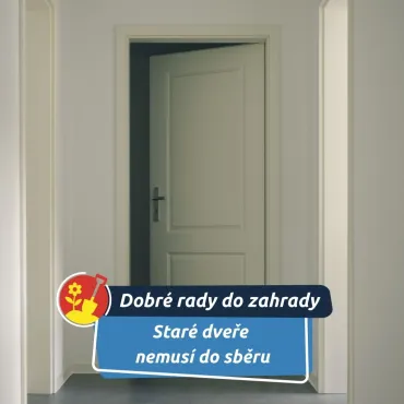 Někdy jim stačí nový kabát