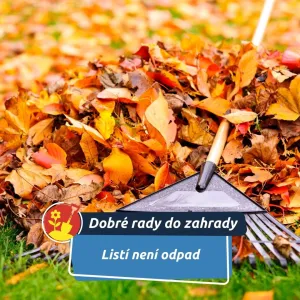 Vraťte ho na podzim zpátky do zahrady