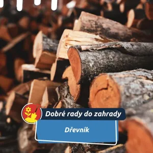 Ze starých palet ho lze snadno vyrobit