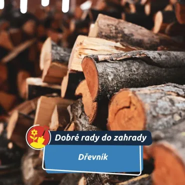 Ze starých palet ho lze snadno vyrobit