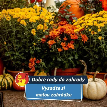 Podzimní truhlík nemusí být nuda