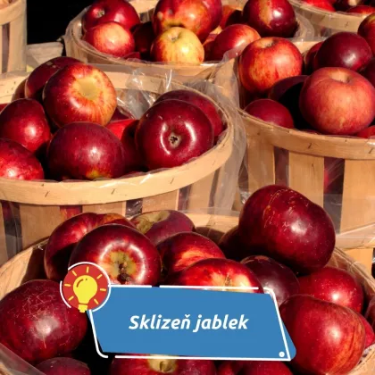Co s ní udělat?