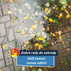 DITON nabízí dlažby, které nechají vodu vsakovat