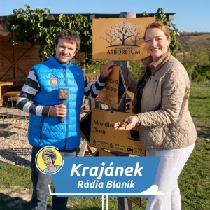 Tip na výlet: Objevte kouzlo Hustopečských mandloní a vyrazte na Mandlobraní!