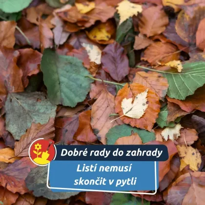 Vyrobte z něj poklad pro zahradu