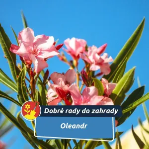 Potřebuje na podzim změnit adresu. Jak ho připravit na zimuM