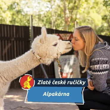 Chtěla netradičního mazlíčka, dnes její alpaky pomáhají lidem.