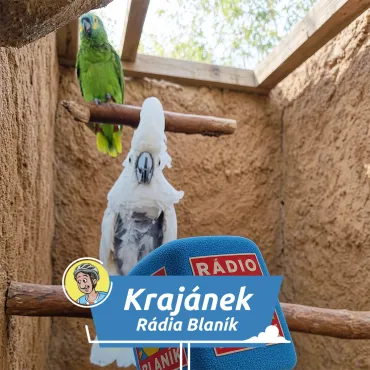 Oáza klidu a exotiky: Co skrývá Tropik Hukvaldy?