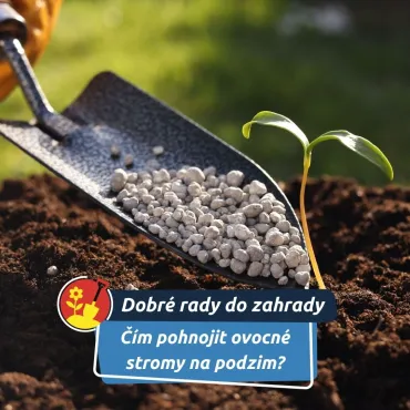 Pomohou přírodní hnojiva