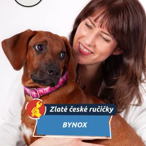 Od prvního obojku pro vlastního psa k úspěšné značce. Na západě Čech vznikají originální doplňky pro čtyřnohé mazlíčky