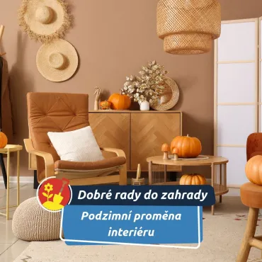 Jak vybrat nábytek, který se vejde