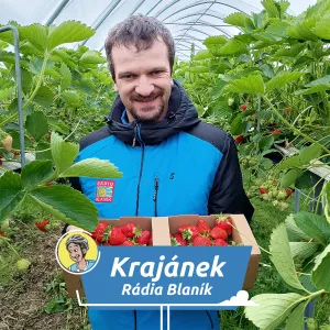 Proč chutnají lépe z farmy? Vyrazte na jahody do Vraňan a ochutnejte ten rozdíl